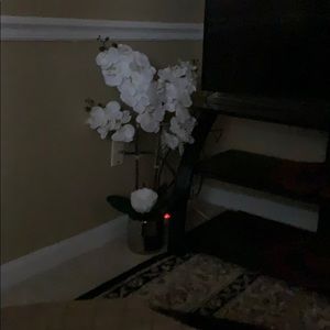 Meet your Posher, Aissa